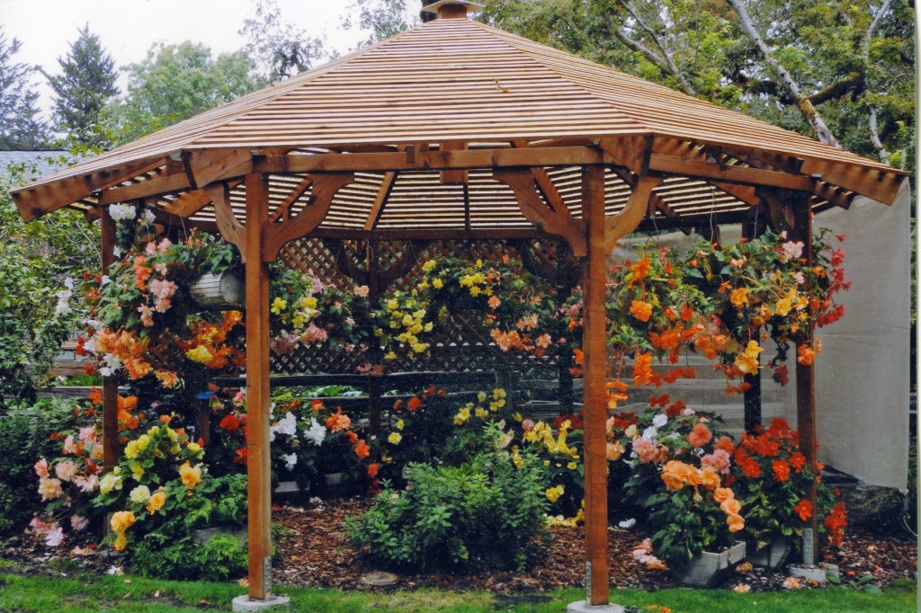 customer review begonia gazebo